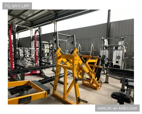 力量型健身器材专卖门店推荐与高强度训练设备测评